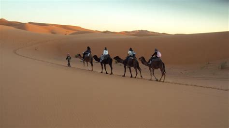 Merzouga Camel Trekking In Morocco - Night,Sunrise,Sunset Camel Rides