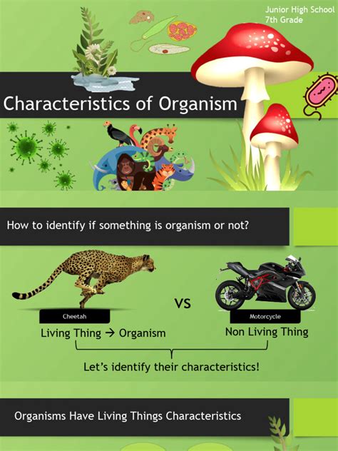 Characteristics of Organism | Download Free PDF | Organisms | Breathing