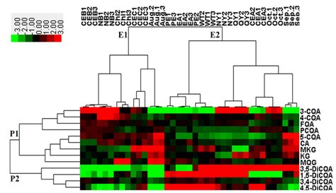 Hierarchical Cluster Analysis Hca And Heatmap Of Bioactive Phenolics