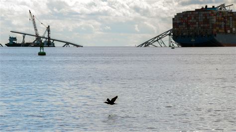 Salvage Crews Have Begun Removing Containers From The Ship That