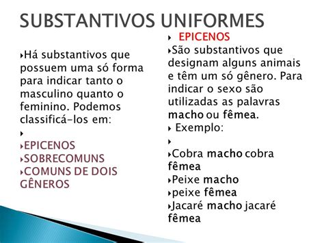 O Que é Substantivos Epicenos - 8