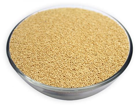 Buy Organic Amaranth Seeds Online Nuts In Bulk