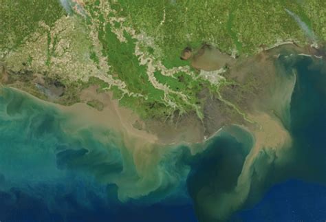 increasing problem  nutrient runoff   coast american scientist