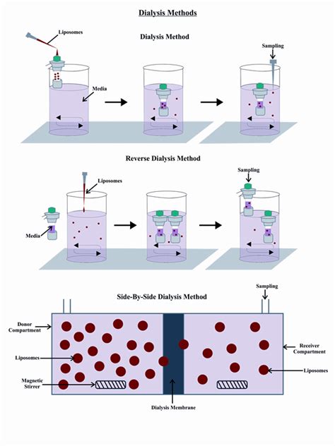 In Vitro Drug Release Methods For Liposomal Drug Delivery Systems