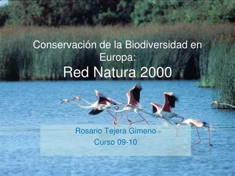 Ppt Conservaci N De La Biodiversidad En Europa Red Natura