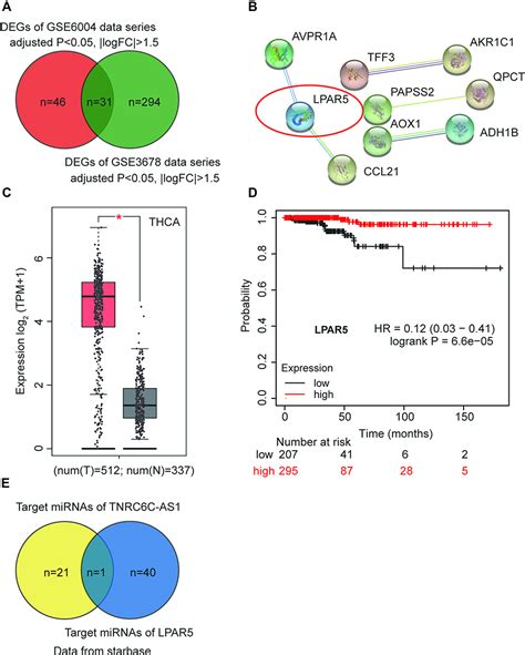 Tnrc6c As1 Promotes Thca Progression By Upregulating Lpar5 Cmar