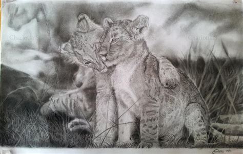 Drawing Pencil Lion Cub - pencildrawing2019