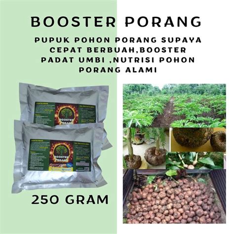 Jual Pupuk Pohon Porang Supaya Cepat Berbuah Booster Padat Umbi Porang