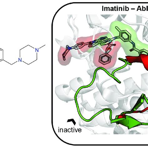 The Structure Of Imatinib Is Given As An Example Of An Inducer Left Download Scientific