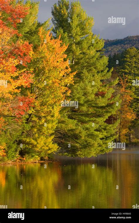 Lowell Lake, Lowell Lake State Park, Vermont Stock Photo - Alamy