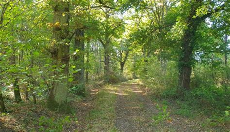 Domaine De Chasse Territoire De Chasse Territoire De Chasse