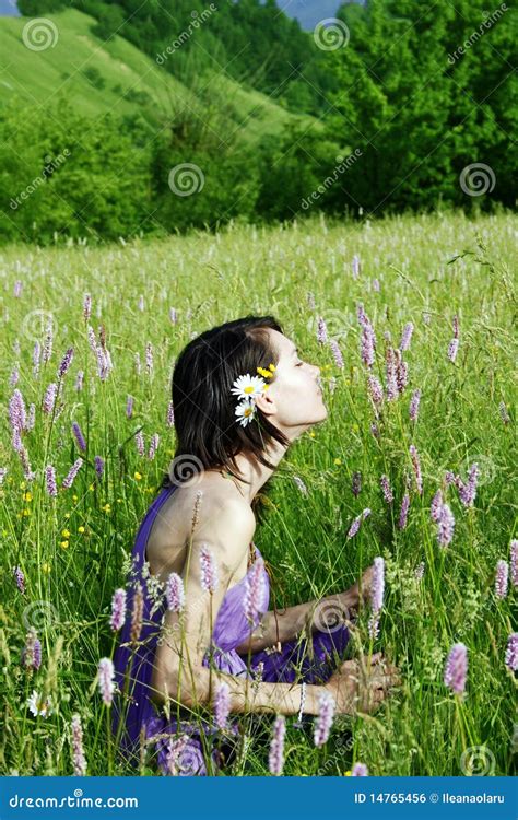 Woman In The Meadow Stock Photo Image Of Carefree Lawn 14765456