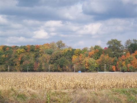 fall in ohio | Smithsonian Photo Contest | Smithsonian Magazine