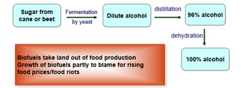 Biofuels Flashcards Quizlet