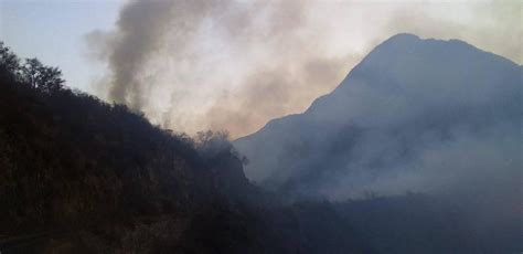 Reportan Incendio Forestal En Rayones Nuevo León Grupo Milenio