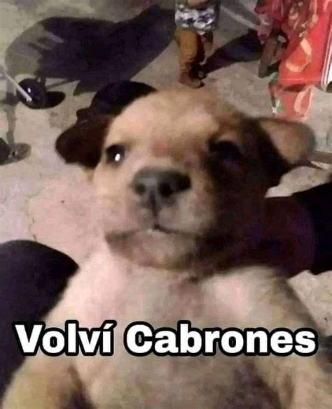 Pin on Volví Cabrones ig ediazzzprivv