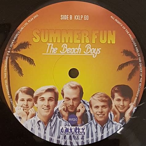 The Beach Boys Summer Fun America Dvd