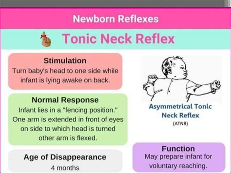 New Born Reflexes Ppt