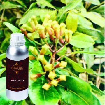 Clove Leaf Oil At Rs Kilogram Clove Leaf Oil In Kalyan Id