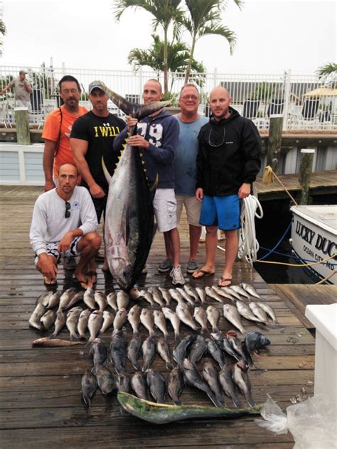 How to Fish for Bigeye Tuna | FishTalk Magazine