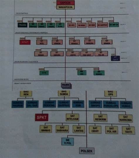 Struktur Organisasi Polri Tingkat Polda Materi Pelajaran SD MI