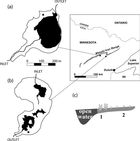 Methylmercury Production In A Chronically Sulfate Impacted Sub Boreal