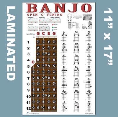 LAMINATED 5 String Banjo Chord Poster Open C Tuning Chords Plucky