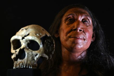 Pesquisadores Reconstroem Rosto De Neandertal De Mil Anos Atr S