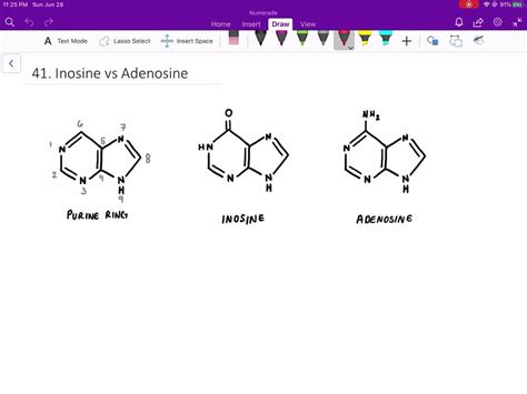 Solvedwhat Is The Structural Difference Between Inosine And Adenosine