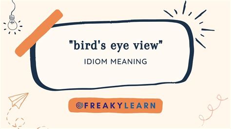 Bird S Eye View Hindi Meaning