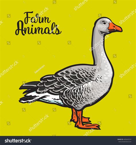 Grey Goose Poultry Vector Illustration Sketch Stock Vector Royalty