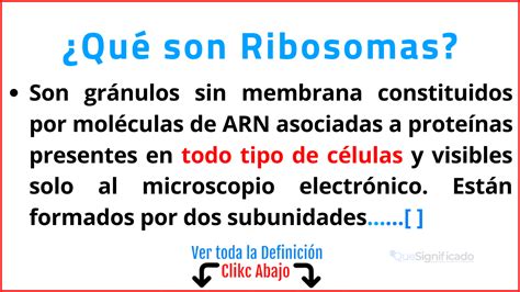 Ribosoma Funciones Y Significado De Esta Estructura Celular