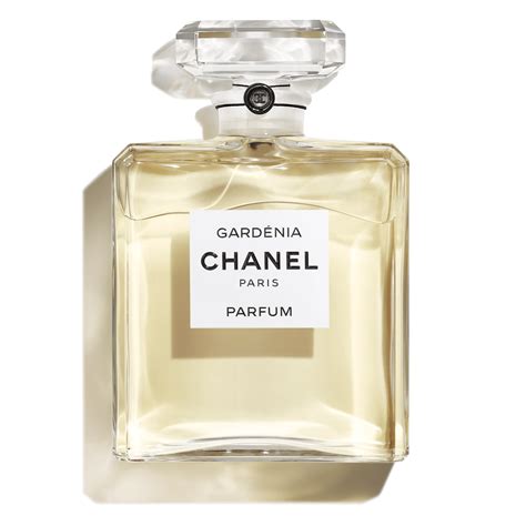 Chia sẻ hơn 59 về buy chanel perfume online australia mới nhất