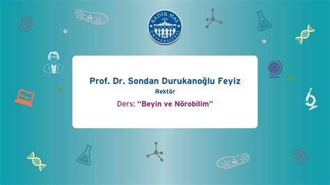 Prof Dr Sondan Durukano Lu Feyiz Beyin Ve N Robilim Youtube