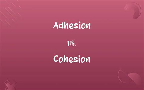 Adhesion vs. Cohesion: Know the Difference