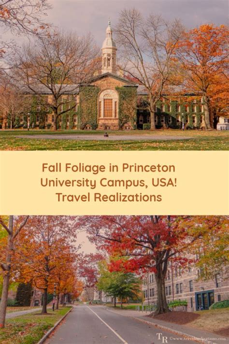 Fall Foliage in Princeton University Campus | Princeton university ...