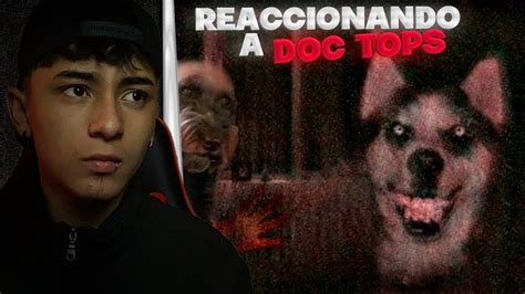 Estos Perros Vieron Cosas Terrorificas Reaccionando A Doc Tops Youtube