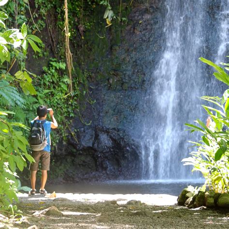 The Water Gardens Of Vaipahi Yota Tahiti Private Island Tours