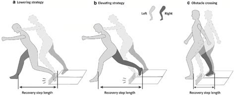 Diagrammatic Representation Of The Definition Of The Recovery Step