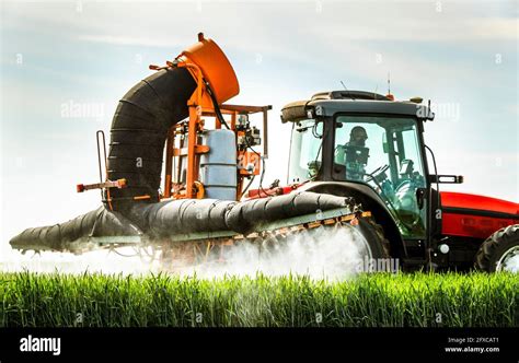 El agricultor pulveriza herbicida en la cosecha de trigo mientras está