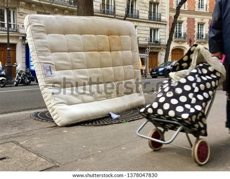 1 Bed Bug Paris Images, Stock Photos & Vectors | Shutterstock