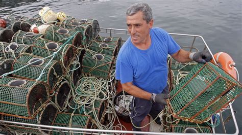 Preparaci N De Las Nasas Del Pulpo Y La N Cora En Barbanza