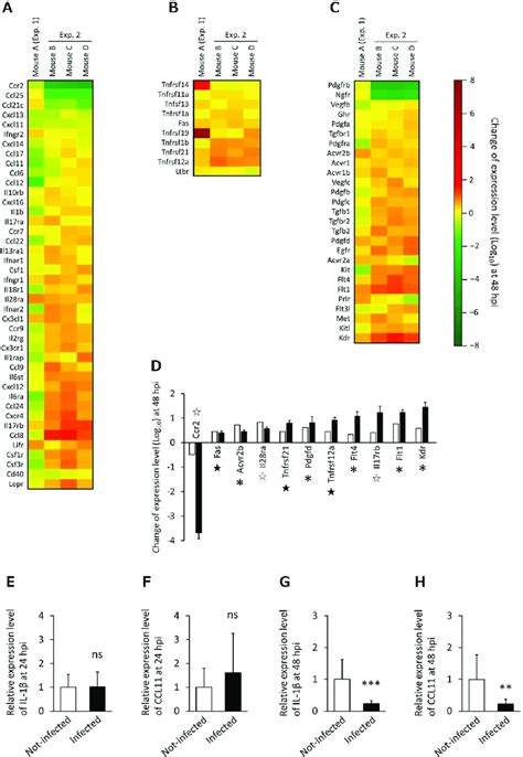 Relative Gene Expression Levels Of Inflammatory Response Related Genes