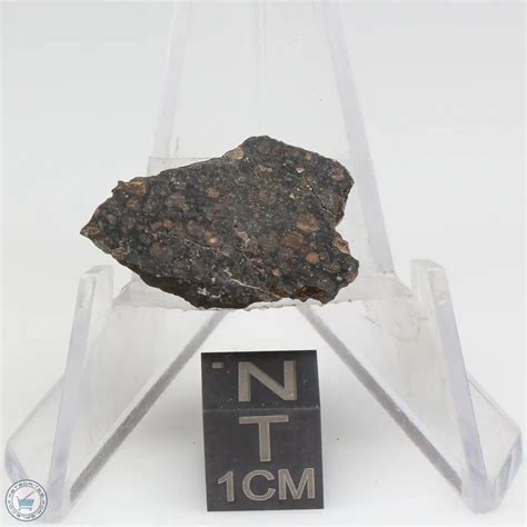 Nwa 1465 Meteorite 1465 48 The Meteorite Exchange Inc