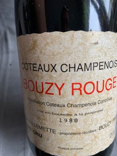 Bouzy Rouge Coteaux Champenois Grand Cru Vivino