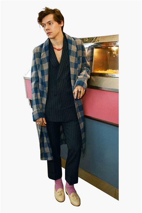 Harry Styles Gucci Campaign, HD Png Download - kindpng