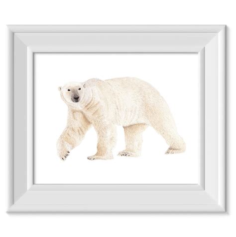 Polar Bear Art Print, Watercolor Polar Bear Wall Art, Wildlife ...