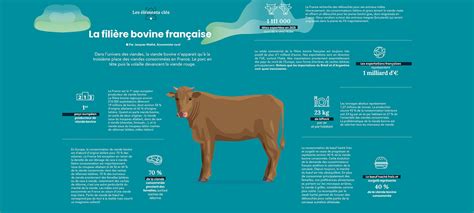 La filière bovine française en 2022