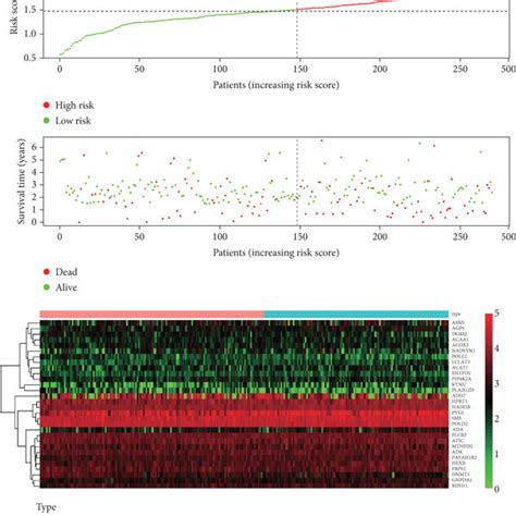 Detailed Prognostic Signature Information Of Hnscc Groups Is Visualized