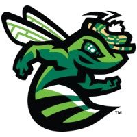 Augusta GreenJackets Professional Baseball | LinkedIn